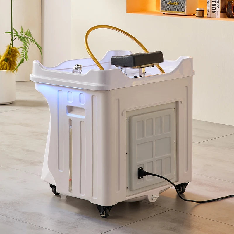 Tongo Mobile Shampoo Sink with Water Circulation and Fumigation